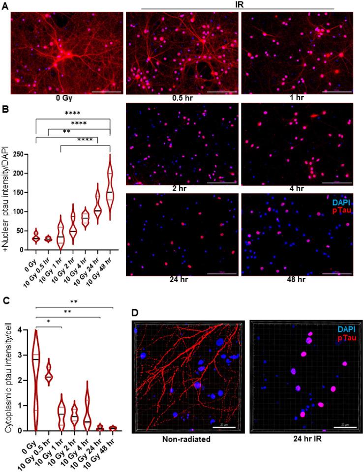 https://cdn.ncbi.nlm.nih.gov/pmc/blobs/2f21/10925419/caf06a4e8e1d/nihpp-rs3897741v1-f0001.jpg