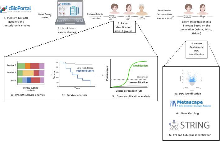 https://cdn.ncbi.nlm.nih.gov/pmc/blobs/2f23/9845274/c8a8dd8007fe/fgene-13-1039037-g002.jpg