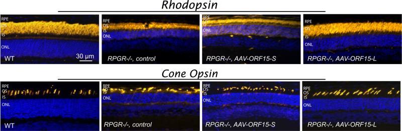 https://cdn.ncbi.nlm.nih.gov/pmc/blobs/2f25/4863462/5570a3d34aa0/nihms-718021-f0003.jpg