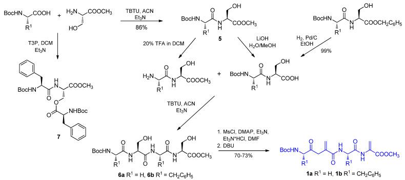 https://cdn.ncbi.nlm.nih.gov/pmc/blobs/2f25/9102237/6b9237c1e408/molecules-27-02611-sch002.jpg