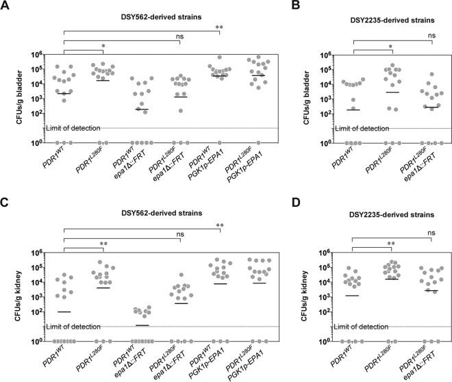 https://cdn.ncbi.nlm.nih.gov/pmc/blobs/2f28/4863579/7c0788dd272a/sph0011620340006.jpg