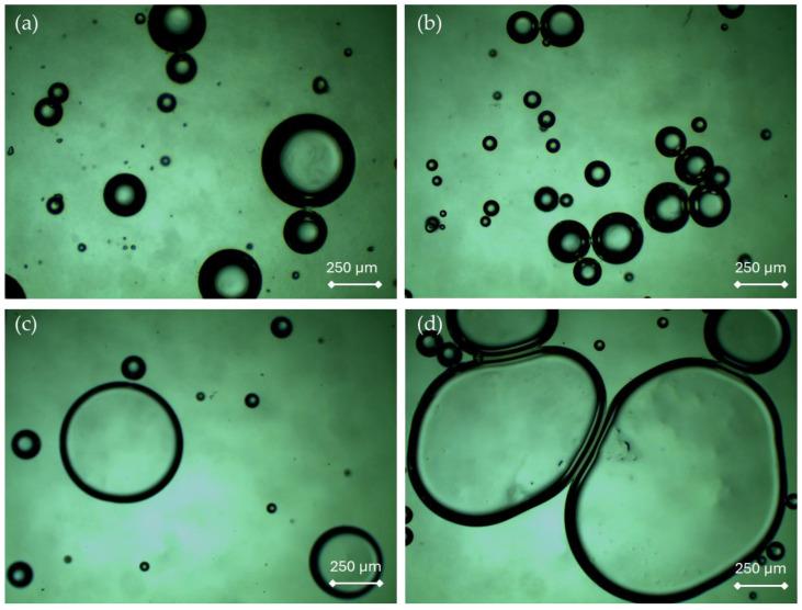 https://cdn.ncbi.nlm.nih.gov/pmc/blobs/2f29/11641263/4af74209c4e2/ijms-25-12632-g003.jpg