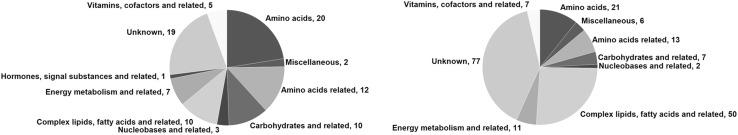 https://cdn.ncbi.nlm.nih.gov/pmc/blobs/2f29/5818600/307b0c98a6c3/204_2017_2079_Fig1_HTML.jpg