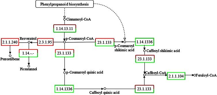 https://cdn.ncbi.nlm.nih.gov/pmc/blobs/2f2a/4729805/04e9fc2846e3/438_2015_1112_Fig6_HTML.jpg