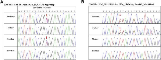 https://cdn.ncbi.nlm.nih.gov/pmc/blobs/2f2a/9868473/0d52d1bcd4c3/fgene-13-1079481-g001.jpg