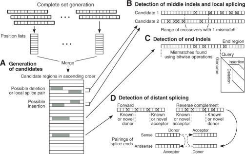 https://cdn.ncbi.nlm.nih.gov/pmc/blobs/2f2b/2844994/b4fee35491f2/btq057f5.jpg