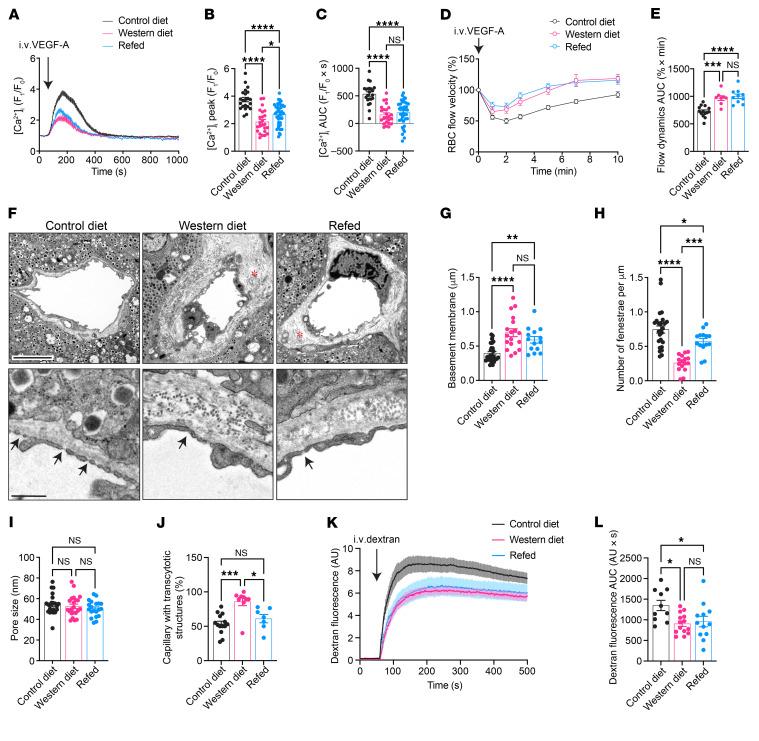 https://cdn.ncbi.nlm.nih.gov/pmc/blobs/2f2d/12321391/cc2da93eb41a/jci-135-177601-g143.jpg
