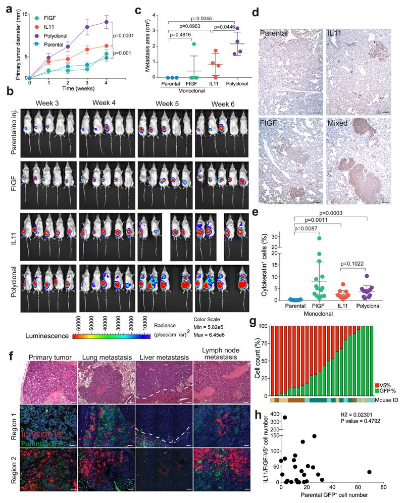 https://cdn.ncbi.nlm.nih.gov/pmc/blobs/2f2f/6609451/81c97b19b4ca/EMS83263-f001.jpg