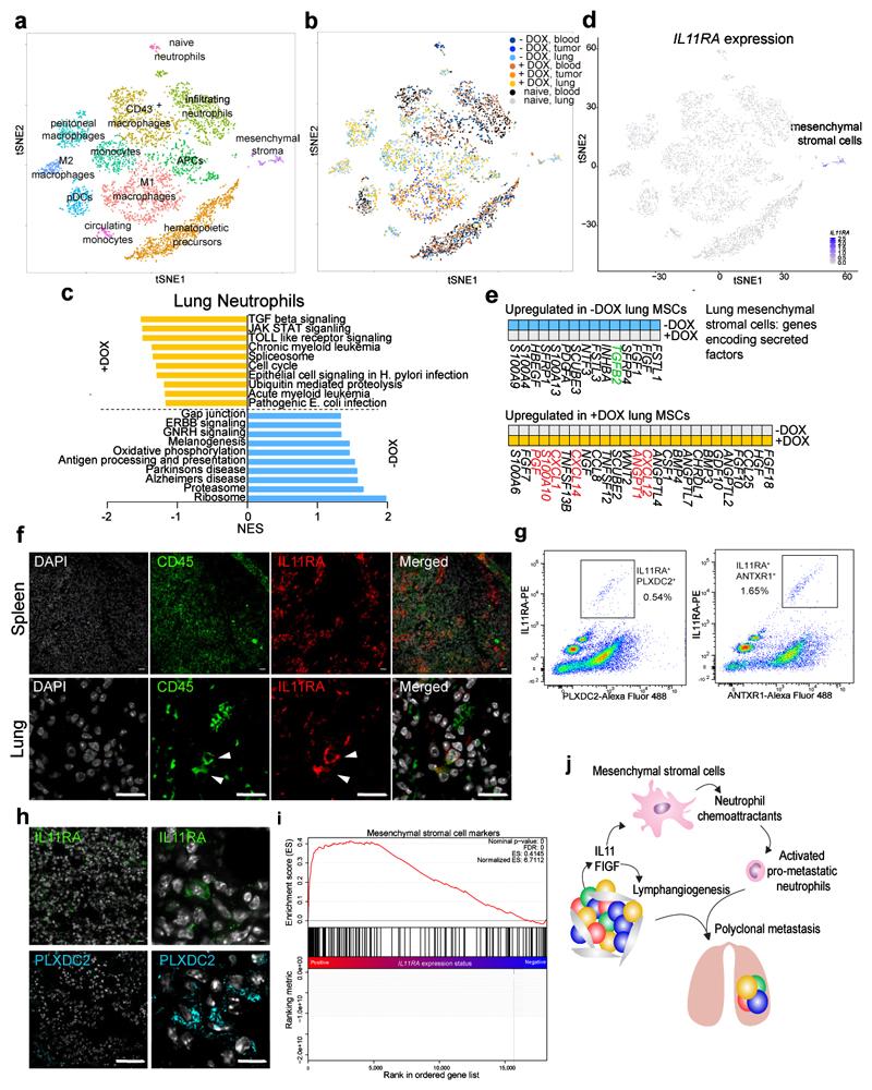 https://cdn.ncbi.nlm.nih.gov/pmc/blobs/2f2f/6609451/d026f2448af6/EMS83263-f005.jpg
