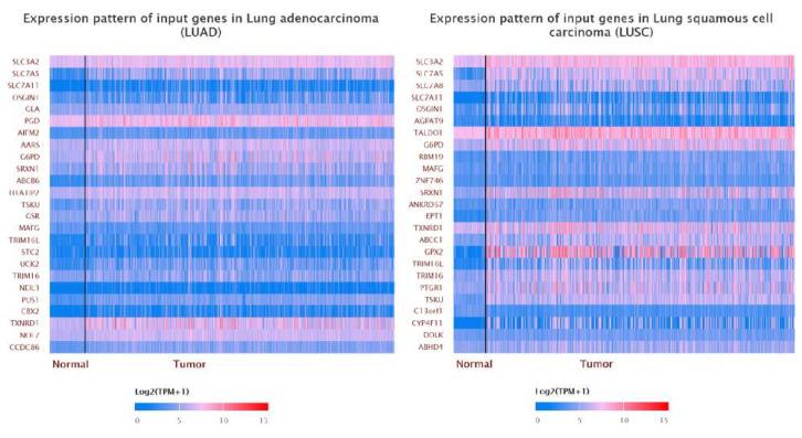 https://cdn.ncbi.nlm.nih.gov/pmc/blobs/2f2f/9658420/ca86926f25a1/cancers-14-05191-g009.jpg