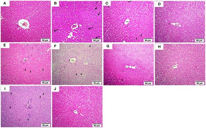 https://cdn.ncbi.nlm.nih.gov/pmc/blobs/2f30/11157016/f416b15c568b/fendo-15-1384984-g003.jpg