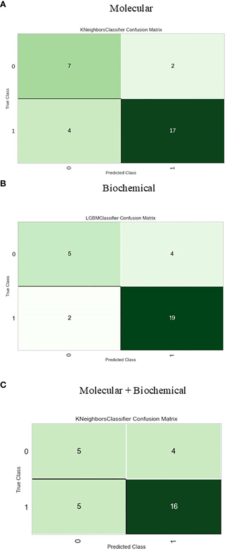 https://cdn.ncbi.nlm.nih.gov/pmc/blobs/2f30/11157016/ffad816bb956/fendo-15-1384984-g006.jpg