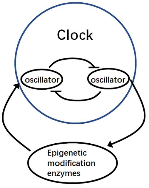 https://cdn.ncbi.nlm.nih.gov/pmc/blobs/2f30/6362098/922052aa20b6/fpls-10-00022-g002.jpg