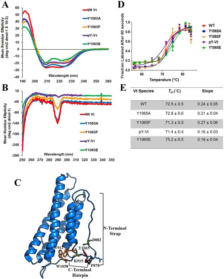 https://cdn.ncbi.nlm.nih.gov/pmc/blobs/2f33/4151700/30d79916ae8e/bi-2014-00678x_0001.jpg