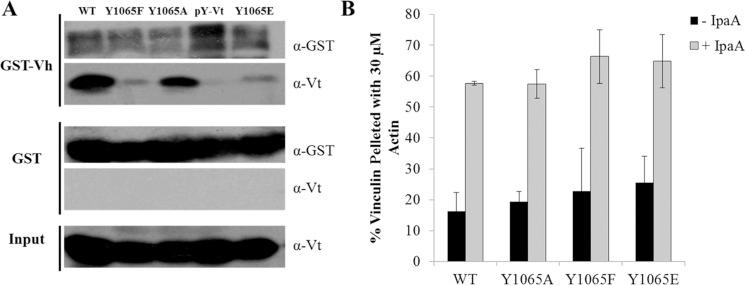 https://cdn.ncbi.nlm.nih.gov/pmc/blobs/2f33/4151700/c29533b19cee/bi-2014-00678x_0002.jpg