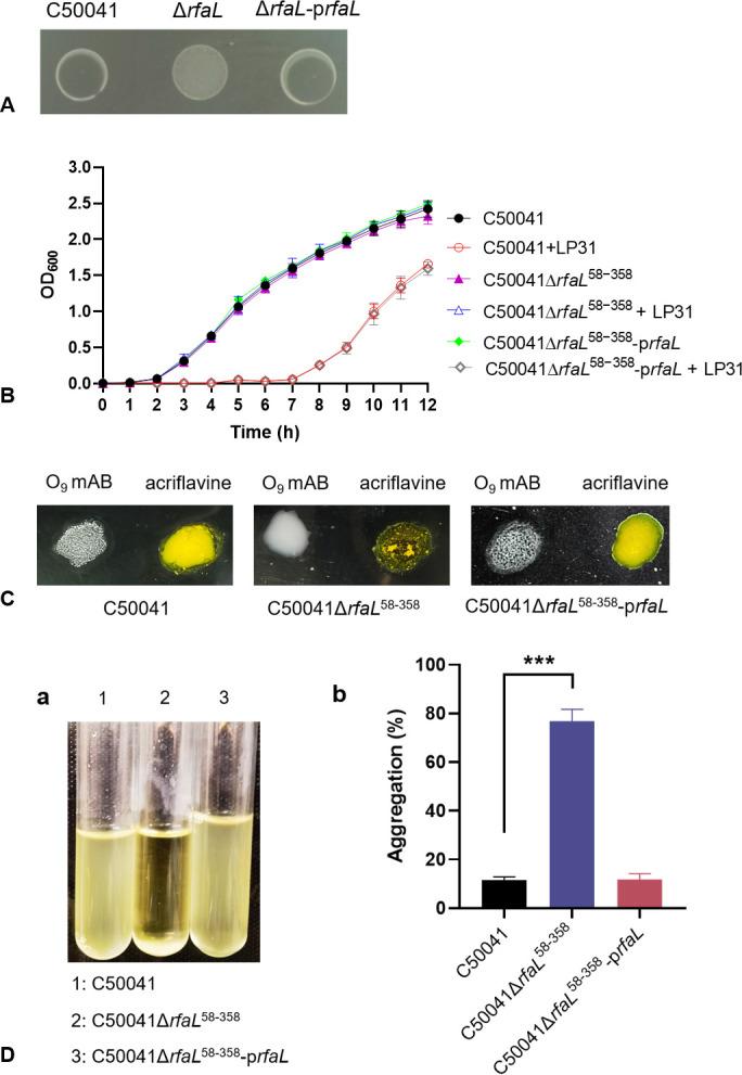 https://cdn.ncbi.nlm.nih.gov/pmc/blobs/2f34/10581130/fe6ebf76f542/spectrum.02604-23.f003.jpg