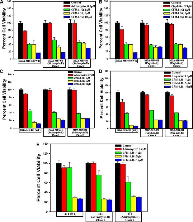 https://cdn.ncbi.nlm.nih.gov/pmc/blobs/2f34/5341985/b6f71fbfe1f7/oncotarget-07-73370-g002.jpg