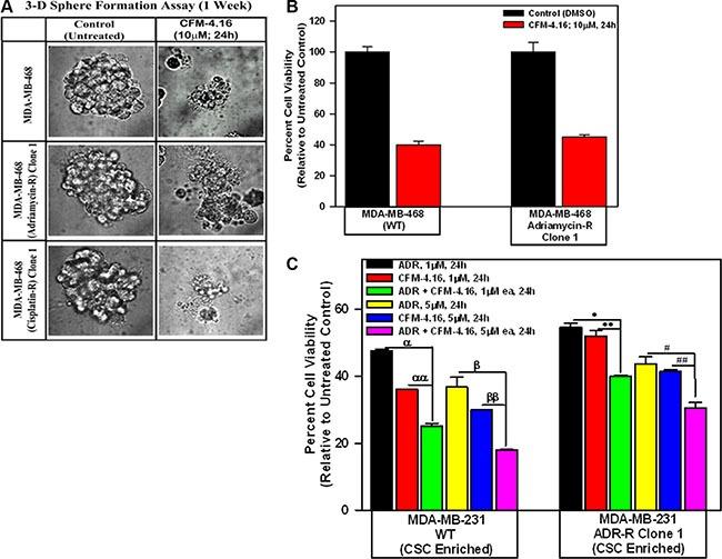 https://cdn.ncbi.nlm.nih.gov/pmc/blobs/2f34/5341985/d36394913cfc/oncotarget-07-73370-g007.jpg