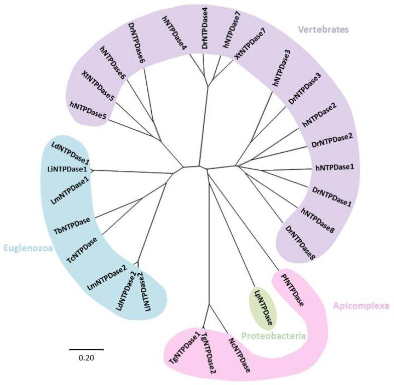 https://cdn.ncbi.nlm.nih.gov/pmc/blobs/2f35/6356682/9a7e1891dddd/genes-10-00016-g002.jpg