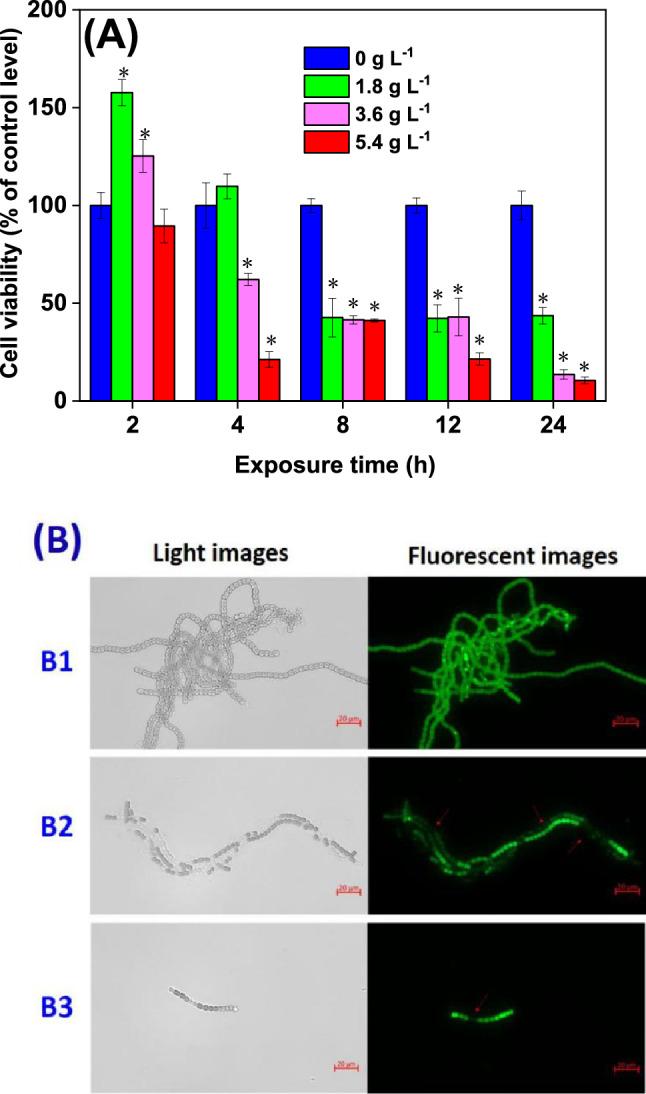 https://cdn.ncbi.nlm.nih.gov/pmc/blobs/2f36/9110734/a03449ce342a/41598_2022_12124_Fig2_HTML.jpg