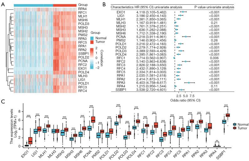 https://cdn.ncbi.nlm.nih.gov/pmc/blobs/2f39/12169988/f520dd91a11d/tcr-14-05-2690-f1.jpg