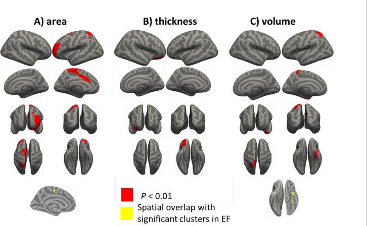https://cdn.ncbi.nlm.nih.gov/pmc/blobs/2f3b/11016884/a16b952f4153/BCN-14-647-g002.jpg