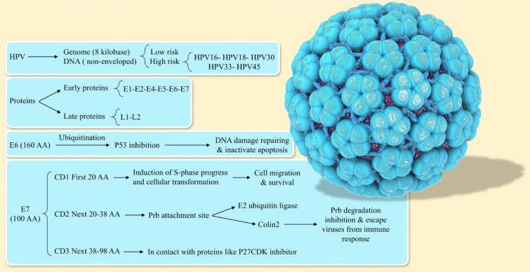 https://cdn.ncbi.nlm.nih.gov/pmc/blobs/2f3b/7975633/07b55545eb3a/EXCLI-20-320-g-001.jpg