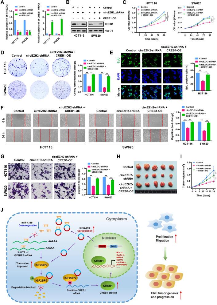 https://cdn.ncbi.nlm.nih.gov/pmc/blobs/2f3b/9245290/0dfa87004563/12943_2022_1608_Fig10_HTML.jpg