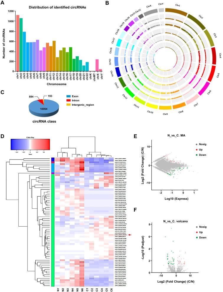 https://cdn.ncbi.nlm.nih.gov/pmc/blobs/2f3b/9245290/18939dd0a1c3/12943_2022_1608_Fig1_HTML.jpg