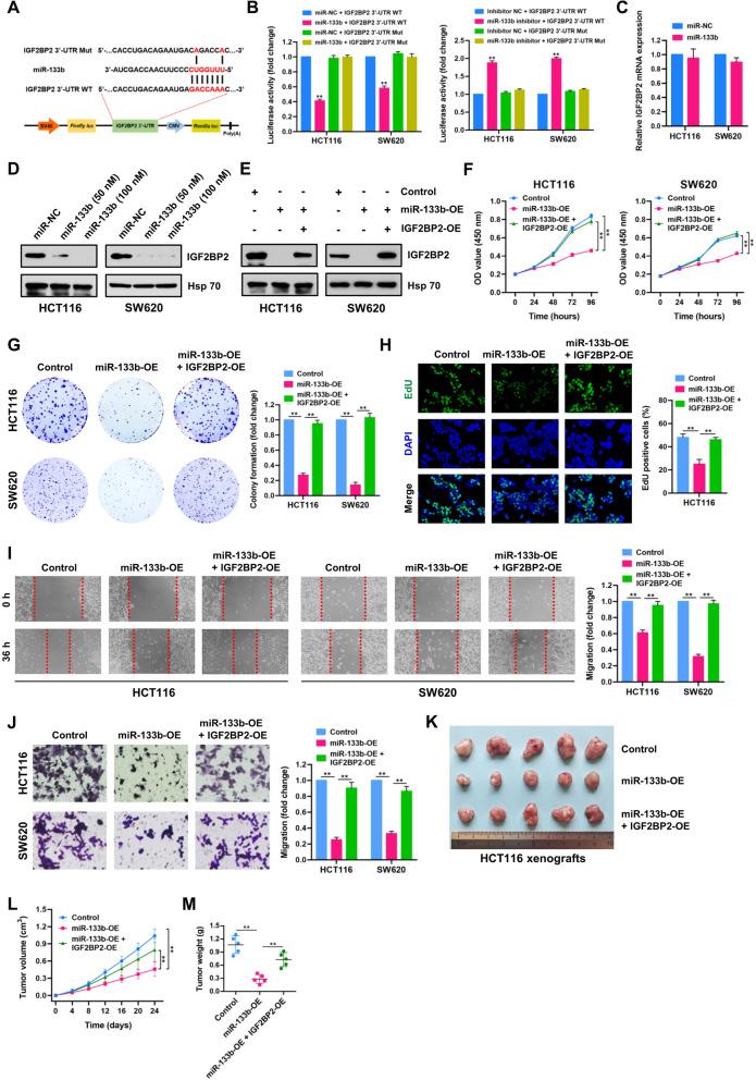 https://cdn.ncbi.nlm.nih.gov/pmc/blobs/2f3b/9245290/6723d0c1df9f/12943_2022_1608_Fig8_HTML.jpg