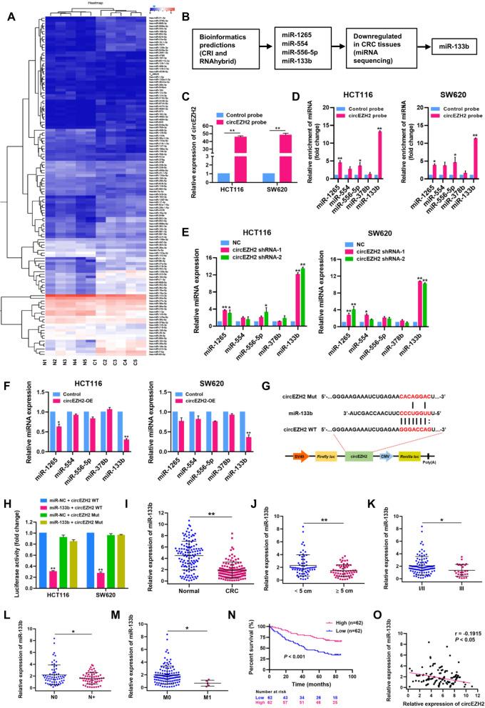 https://cdn.ncbi.nlm.nih.gov/pmc/blobs/2f3b/9245290/960ce721d256/12943_2022_1608_Fig5_HTML.jpg