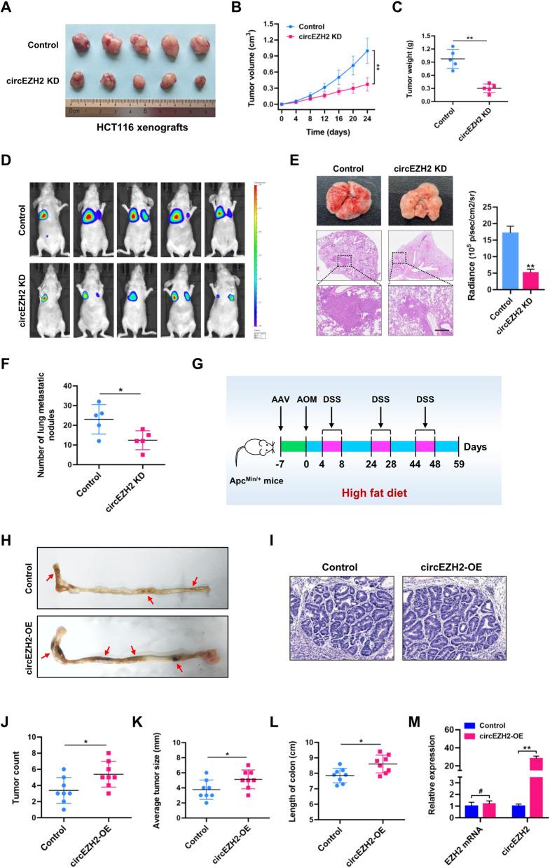 https://cdn.ncbi.nlm.nih.gov/pmc/blobs/2f3b/9245290/cc187c2e0fb6/12943_2022_1608_Fig4_HTML.jpg