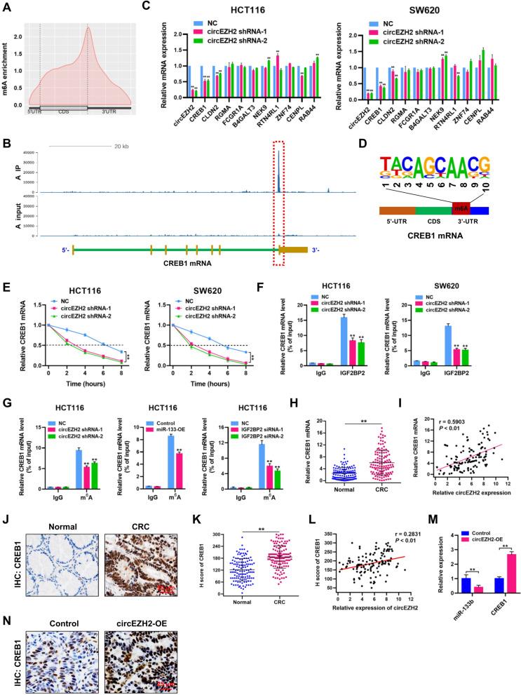 https://cdn.ncbi.nlm.nih.gov/pmc/blobs/2f3b/9245290/da316bb3ac51/12943_2022_1608_Fig9_HTML.jpg