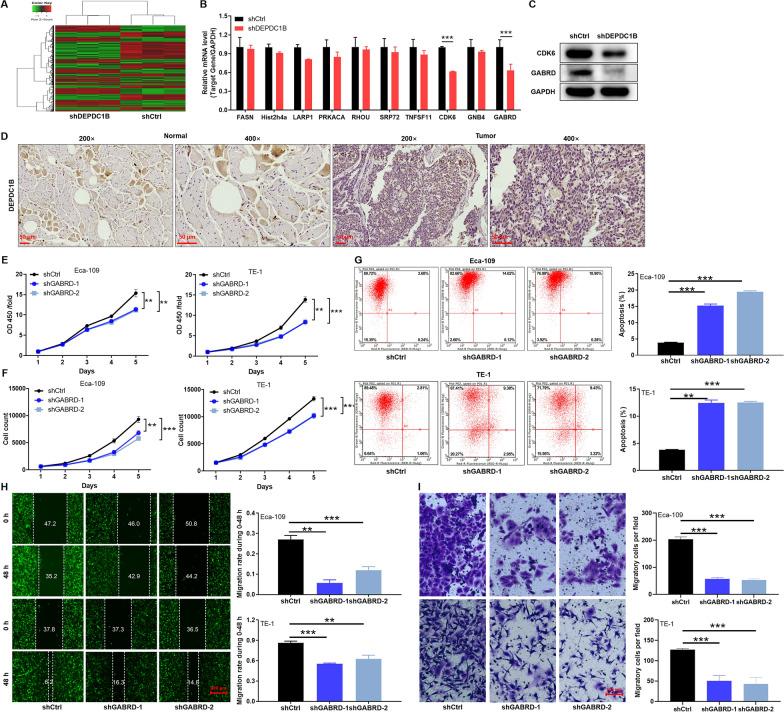https://cdn.ncbi.nlm.nih.gov/pmc/blobs/2f3c/9202211/b6ceb2dfdc4a/12935_2022_2593_Fig4_HTML.jpg