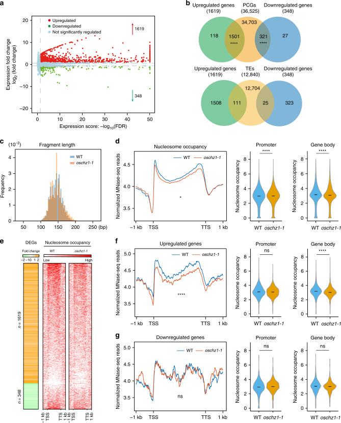 https://cdn.ncbi.nlm.nih.gov/pmc/blobs/2f3d/7658359/7c0af6087b1d/41467_2020_19586_Fig6_HTML.jpg