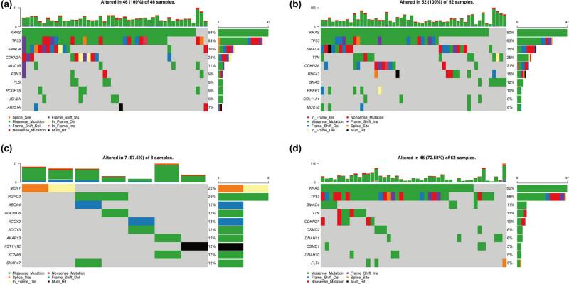 https://cdn.ncbi.nlm.nih.gov/pmc/blobs/2f3d/8898926/2c3a70593fd5/j_med-2022-0433-fig006.jpg