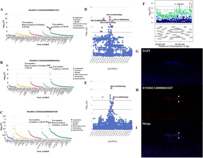 https://cdn.ncbi.nlm.nih.gov/pmc/blobs/2f3f/12205214/42a7a18d06f5/EVA-18-e70129-g008.jpg