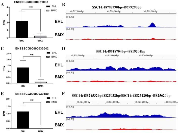 https://cdn.ncbi.nlm.nih.gov/pmc/blobs/2f3f/12205214/ee1d7ba4a031/EVA-18-e70129-g007.jpg