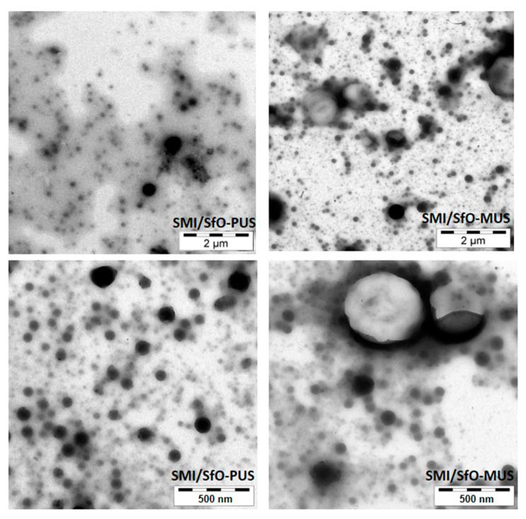https://cdn.ncbi.nlm.nih.gov/pmc/blobs/2f40/8230557/62aa79147c8f/molecules-26-03561-g004.jpg