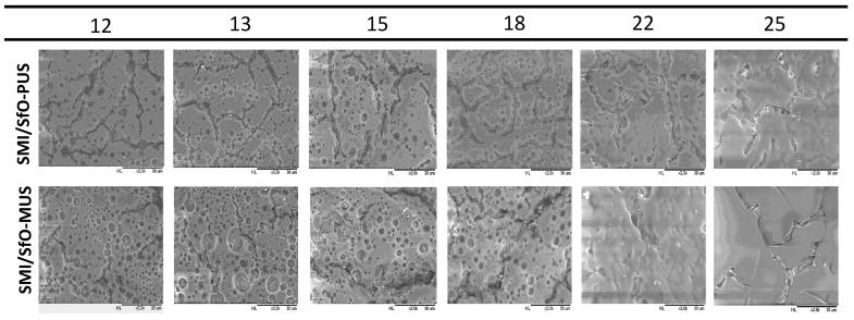 https://cdn.ncbi.nlm.nih.gov/pmc/blobs/2f40/8230557/b36c9f49b963/molecules-26-03561-g003.jpg