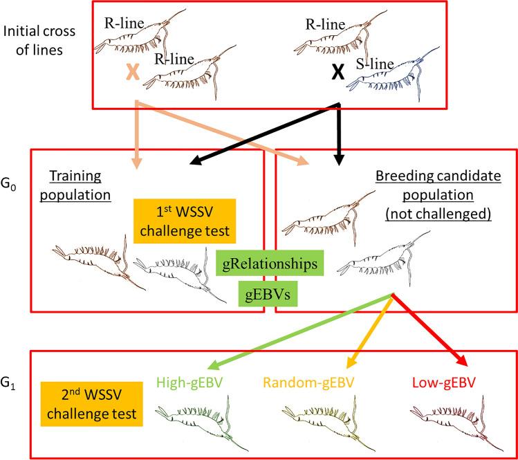 https://cdn.ncbi.nlm.nih.gov/pmc/blobs/2f42/7688931/790ae8c905da/41598_2020_77580_Fig5_HTML.jpg