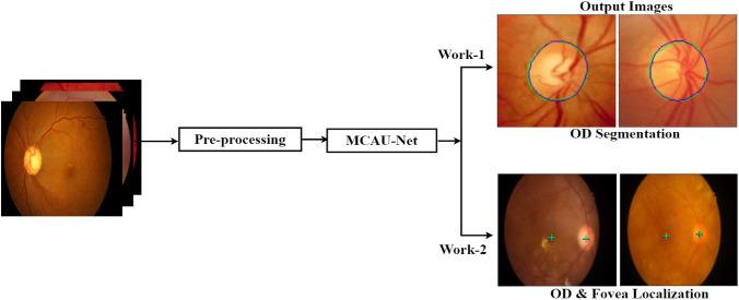https://cdn.ncbi.nlm.nih.gov/pmc/blobs/2f46/11452642/7b9e6b054959/41598_2024_73493_Fig1_HTML.jpg