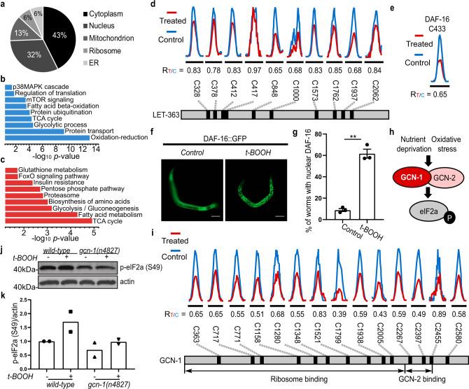 https://cdn.ncbi.nlm.nih.gov/pmc/blobs/2f46/7930113/1ae9530dc17c/41467_2021_21686_Fig4_HTML.jpg