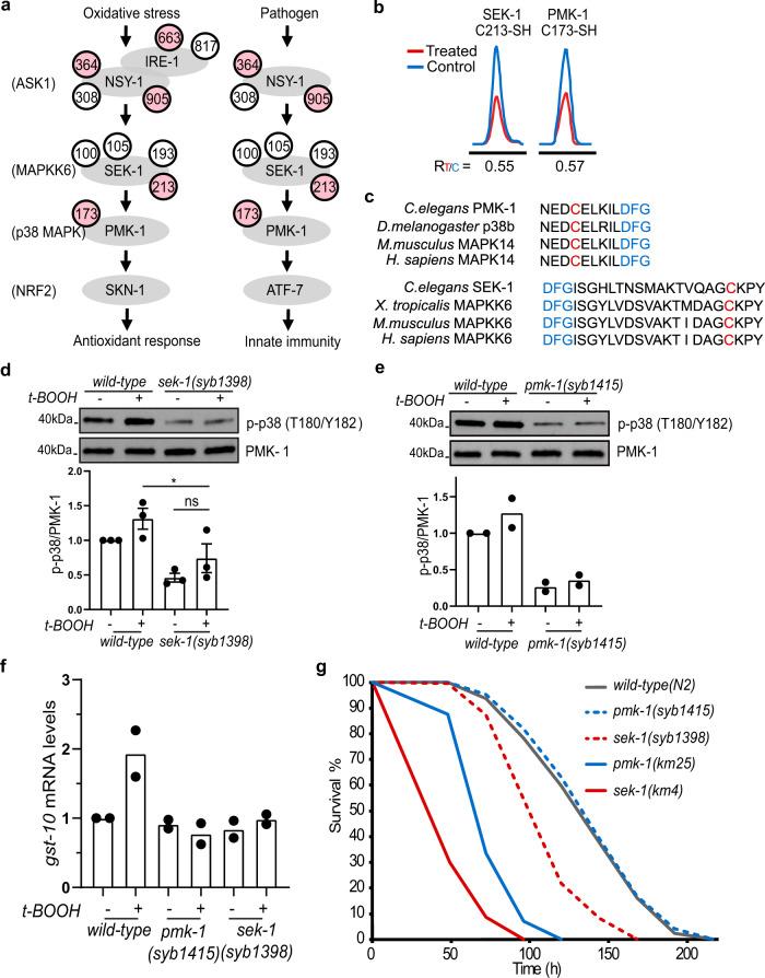 https://cdn.ncbi.nlm.nih.gov/pmc/blobs/2f46/7930113/69a3430e672a/41467_2021_21686_Fig5_HTML.jpg