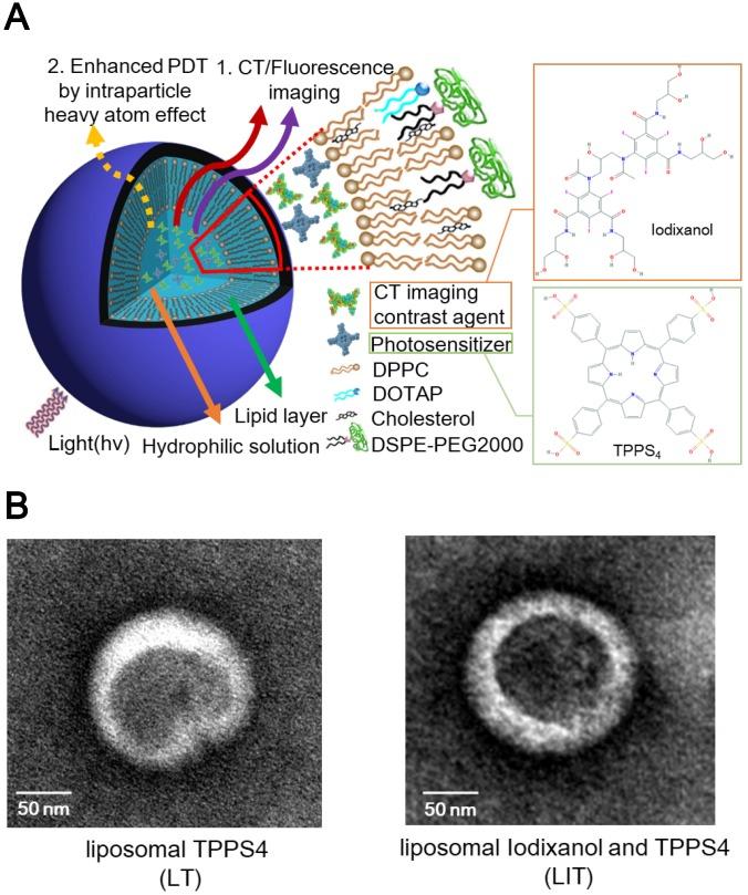 https://cdn.ncbi.nlm.nih.gov/pmc/blobs/2f47/6401496/e6e5f062b3b9/thnov09p1323g001.jpg