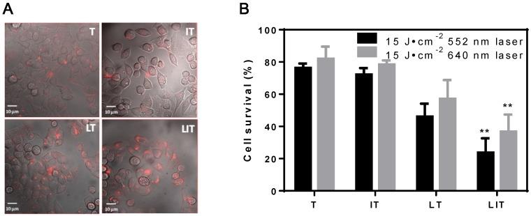 https://cdn.ncbi.nlm.nih.gov/pmc/blobs/2f47/6401496/f387a8430897/thnov09p1323g004.jpg