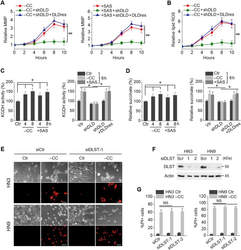 https://cdn.ncbi.nlm.nih.gov/pmc/blobs/2f48/6957841/54bccf064dcc/gr4.jpg