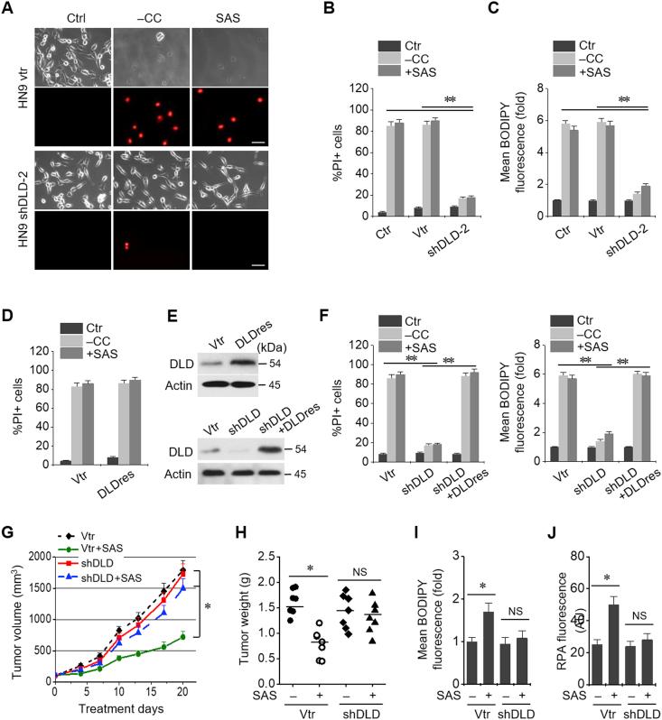 https://cdn.ncbi.nlm.nih.gov/pmc/blobs/2f48/6957841/e066ab374e22/gr3.jpg