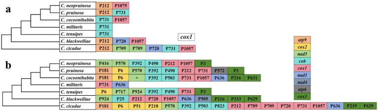 https://cdn.ncbi.nlm.nih.gov/pmc/blobs/2f49/12202336/017a11d9b8b6/fmicb-16-1605218-g004.jpg