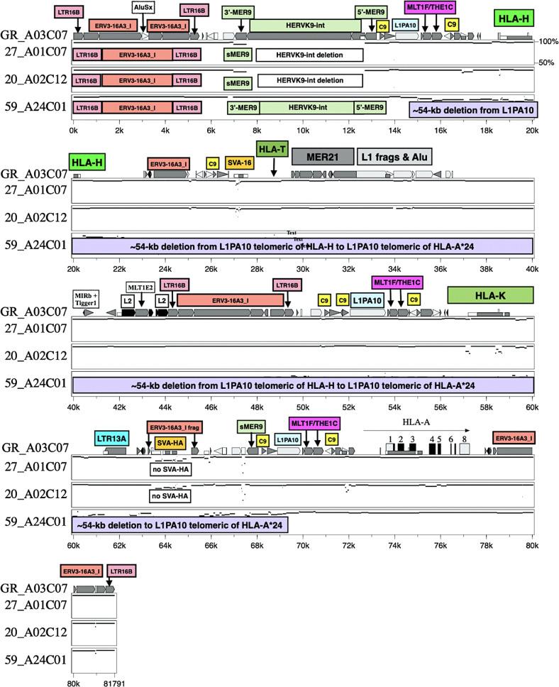https://cdn.ncbi.nlm.nih.gov/pmc/blobs/2f4a/9772353/156f2a2b2273/41439_2022_226_Fig3_HTML.jpg